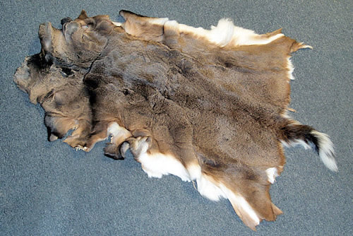 Tanned Deer Hides